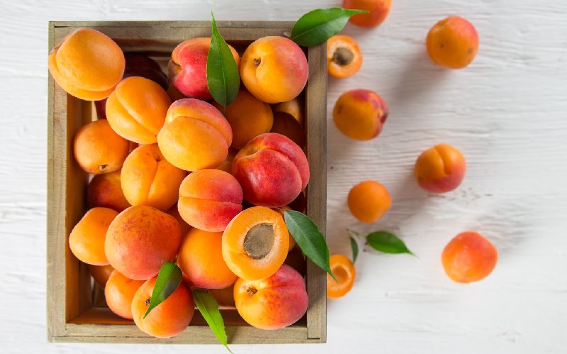 زردآلو در دوران بارداری؛ تقویت سیستم ایمنی بدن حاوی فیبر مس iron