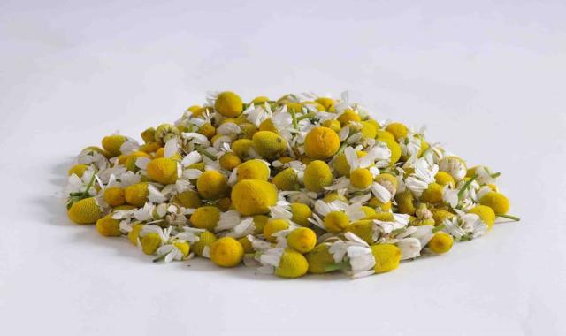 بابونه صحرایی؛ خوراکی موضعی تقویت بدن دارای ویتامین (A C D)