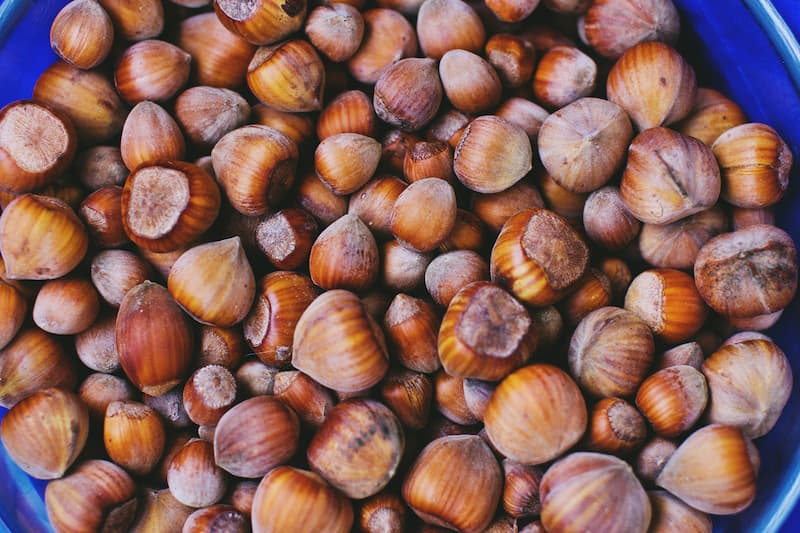 مغز فندق در بارداری؛ جلوگیری زایمان زودرس حاوی آنتی اکسیدان مواد معدنی