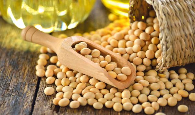 روغن مایع سویا نازگل؛ رشد استخوان تنظیم هورمون حاوی ویتامین E