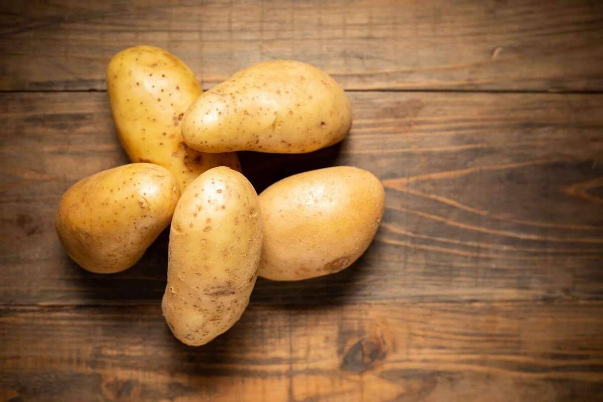 سیب زمینی در میدان تره بار اردبیل؛ رنگ زرد درشت فاقد لک potato