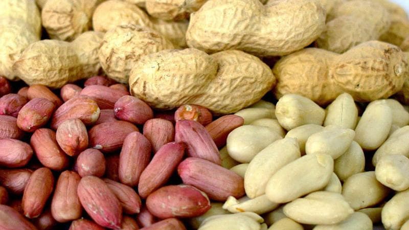 بادام زمینی صفری؛ تقویت سیستم ایمنی کاهش وزن حاوی ویتامین