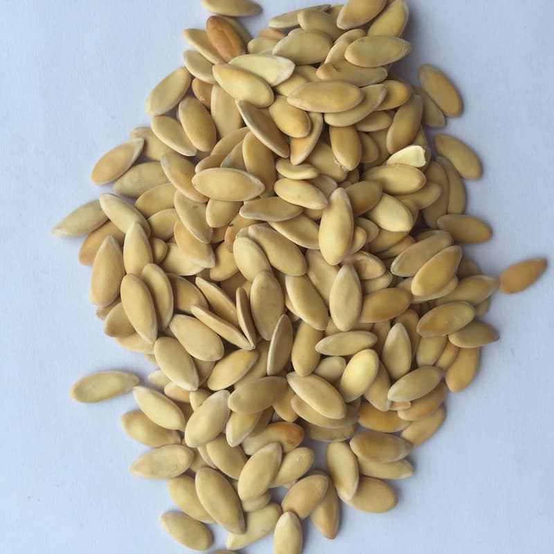 بذر طالبی اصلاح شده؛ دو لپه بوته ای سرعت رشد بسیار بالا (United Kingdom)