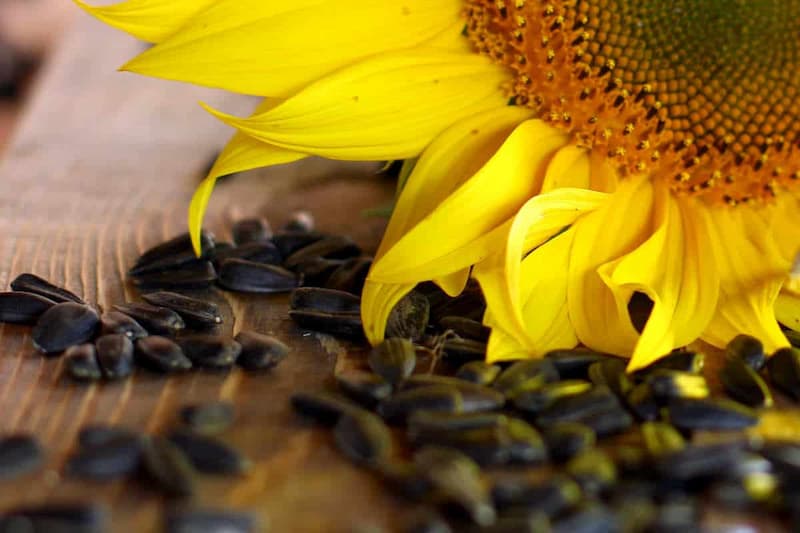 تخمه آفتابگردان سرآمد؛ شمشیری بادامی سیاه 2 طعم لیمویی فلفلی