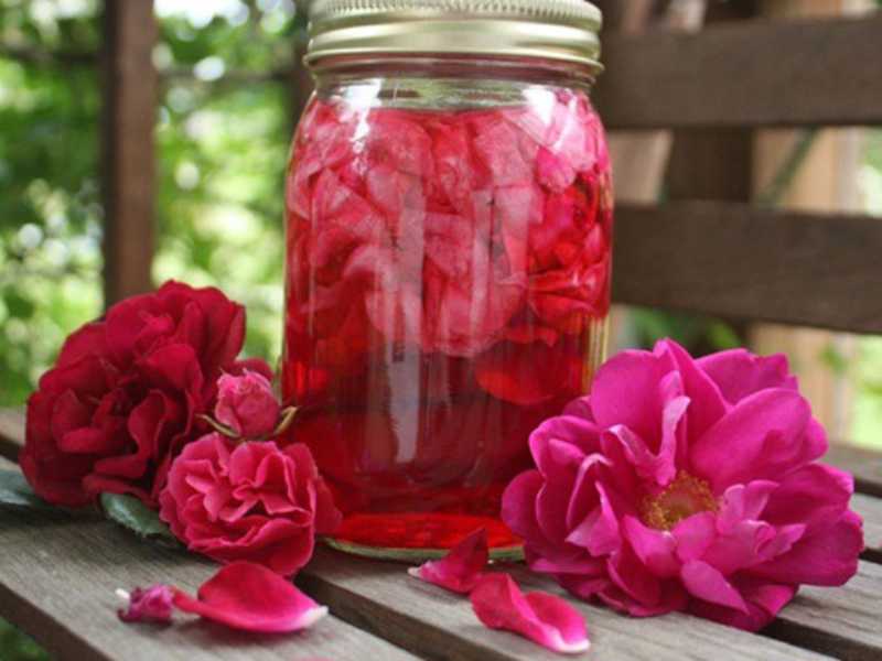 گلاب برای ضدعفونی دست؛ گرانتول استاروپنین فنیل ویتامین C