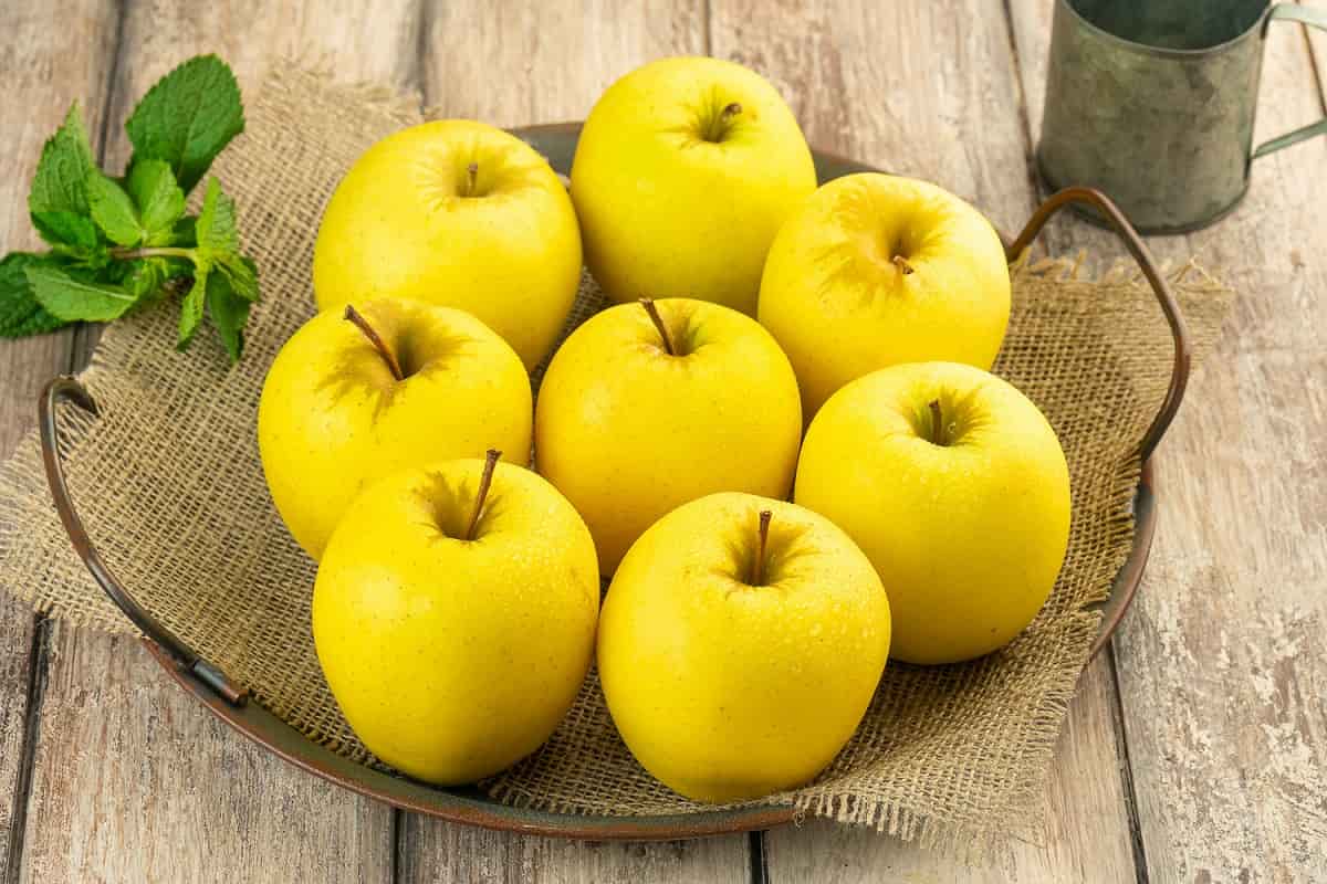 سیب گلاب پاییزه؛ سفید پوسته ضخیم کوچک آبدار Antioxidants