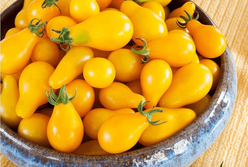 گوجه فرنگی زرد (گلابی لامپی) شیرین ضد سرطان حاوی ویتامین Betacarotene