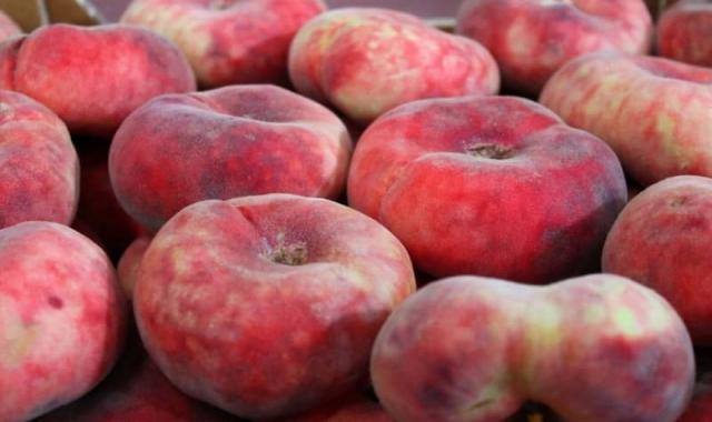 هلو انجیری درجه یک؛ کوچک شیرین ارتفاع درخت (4 10) متر
