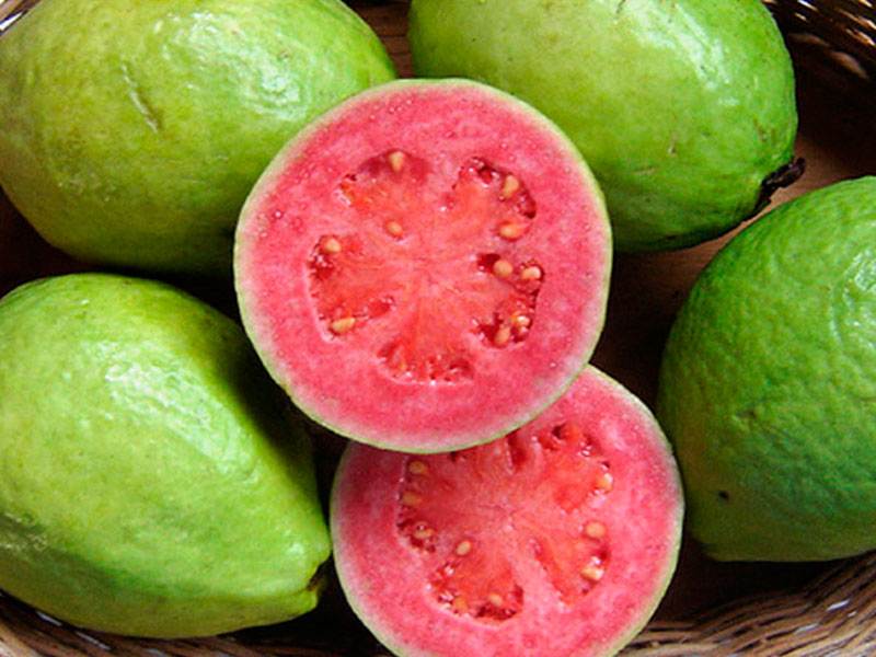 زیتون محلی چابهار (گواوا) خام پخته 2 طعم شیرین ملس حاوی iron