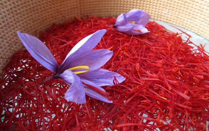 زعفران صادراتی سحرخیز (طلای قرمز) تقویت پیاز مو کاهش درد