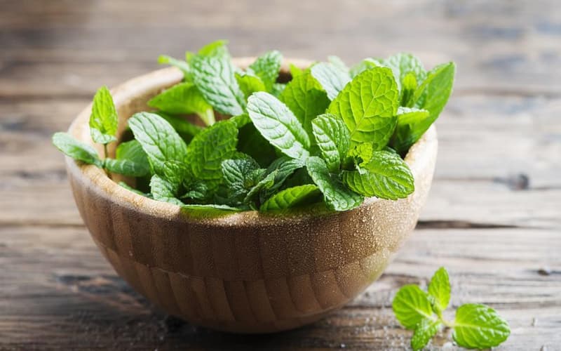 عرقیات گیاهی خالص؛ کاسنی خارخاسک تقویت گردش Blood