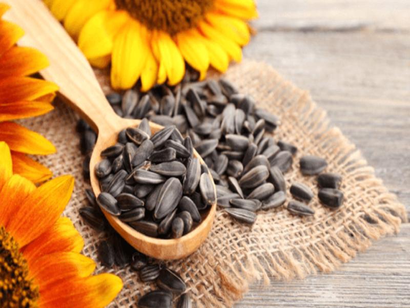 تخمه آفتابگردان اردبیل؛ زعفرونی شور تند ساده تقویت انرژی body