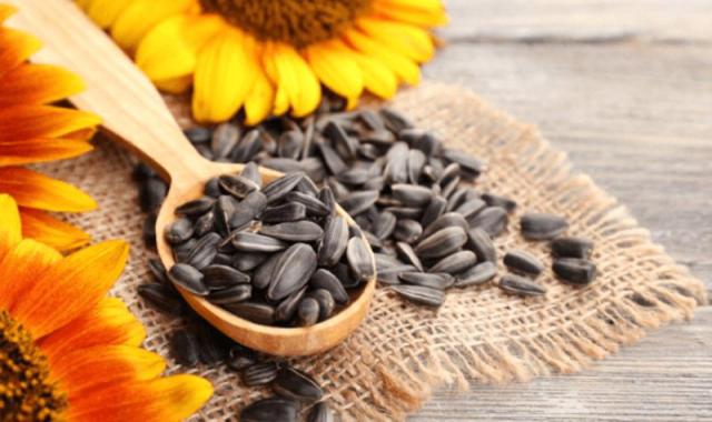 تخمه آفتابگردان اردبیل؛ زعفرونی شور تند ساده تقویت انرژی body
