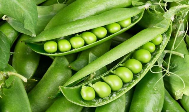 نخود خام سبز؛ نرم حاوی انرژی پتاسیم کلسیم ویتامین A B12