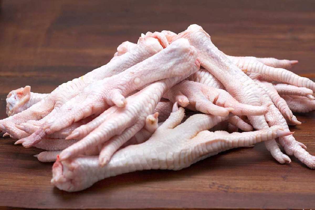 پای مرغ بسته ای؛ فله ای بهداشتی ویتامین (A D) کیفیت بالا مرغوب