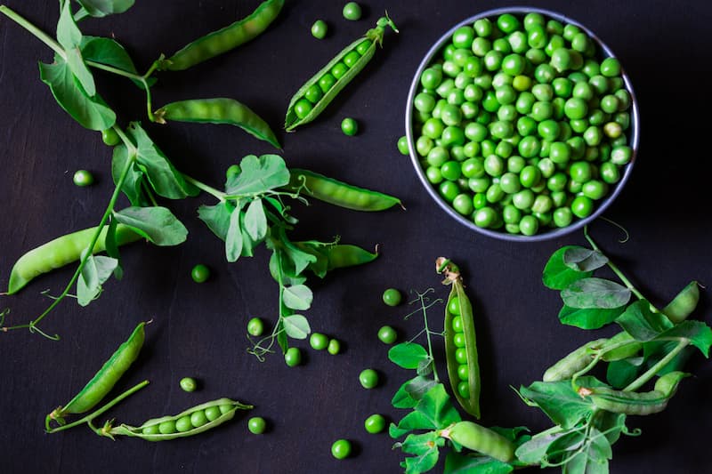 نخود نرسیده؛ سبز ریز تنظیم قند خون درمان عفونت قارچی