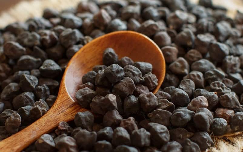 نخود سیاه هندی؛ طبع گرم خشک درمان کم خونی آهن میزیم Calcium