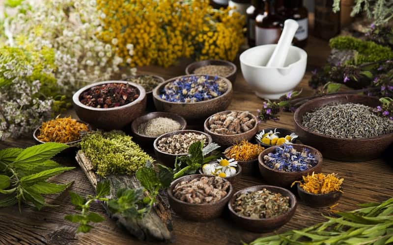 گیاهان دارویی شادی آور؛ تانن آلکالوئید گل گاو زبان به لیمو plants