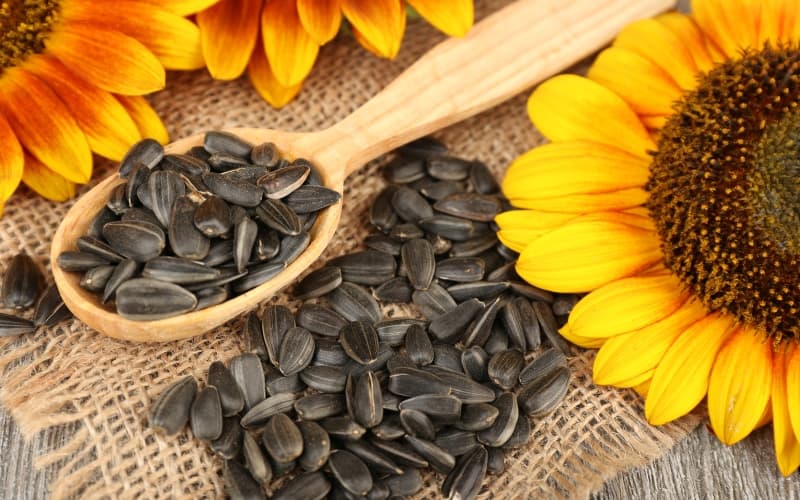 تخمه آفتابگردان گلرخ؛ سیاه سفید فاقد چربی وزن 1000گرمی