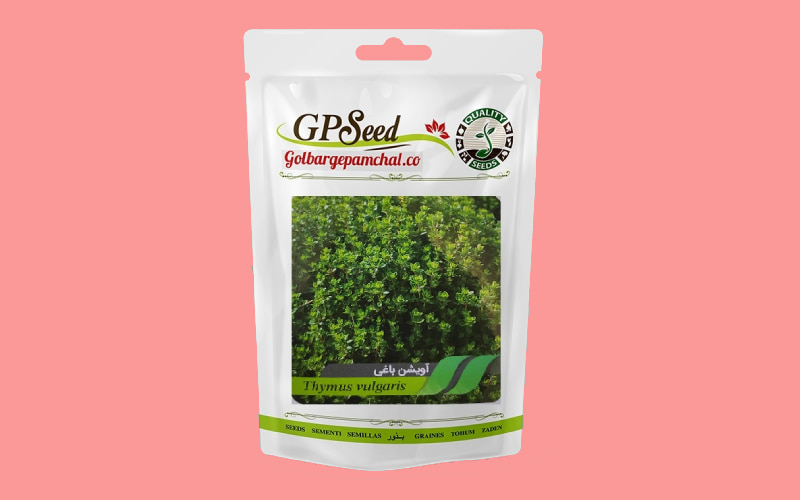 بذر آویشن لیمویی؛ مطبوع محل رشد مناطق گرمسیری Seed