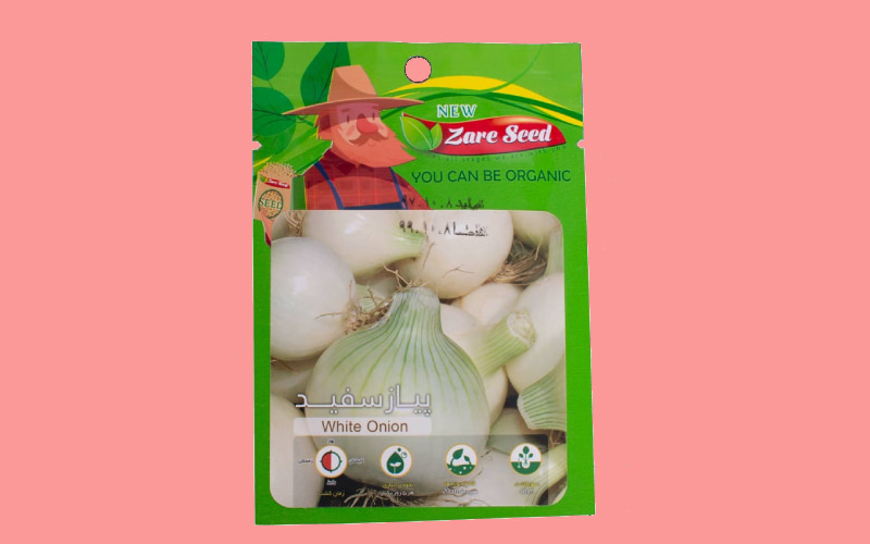 بذر پیاز سفید زودرس؛ فصل کاشت پاییز بهار حاوی آنتی اکسیدان