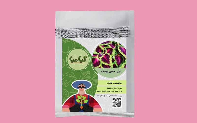 بذر حسن یوسف آبی؛ زینتی آپارتمانی زمان جوانه زدن 8 روز Seed