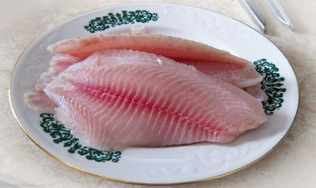 ماهی جنوب بدون تیغ؛ نقره ای سفید 3 نوع شوریده زبیدی راشگو