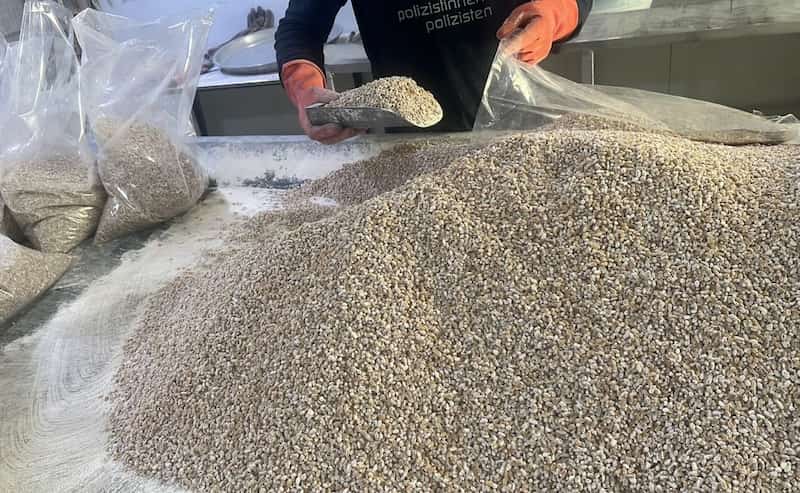 بذر قارچ دکمه ای اصفهان (تخم) سفید روشنی 2 نوع نر ماده