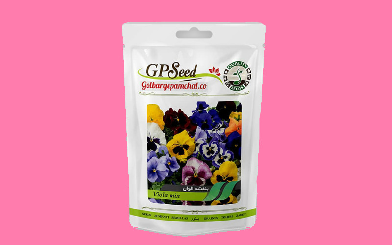 بذر گل بنفشه دارویی؛ سبز یکدست دانه درشت دارای خاصیت درمانی