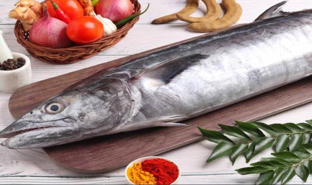 ماهی چنگو دم سبز؛ زیتونی گریل کبابی کنترل فشار خون Bushehr