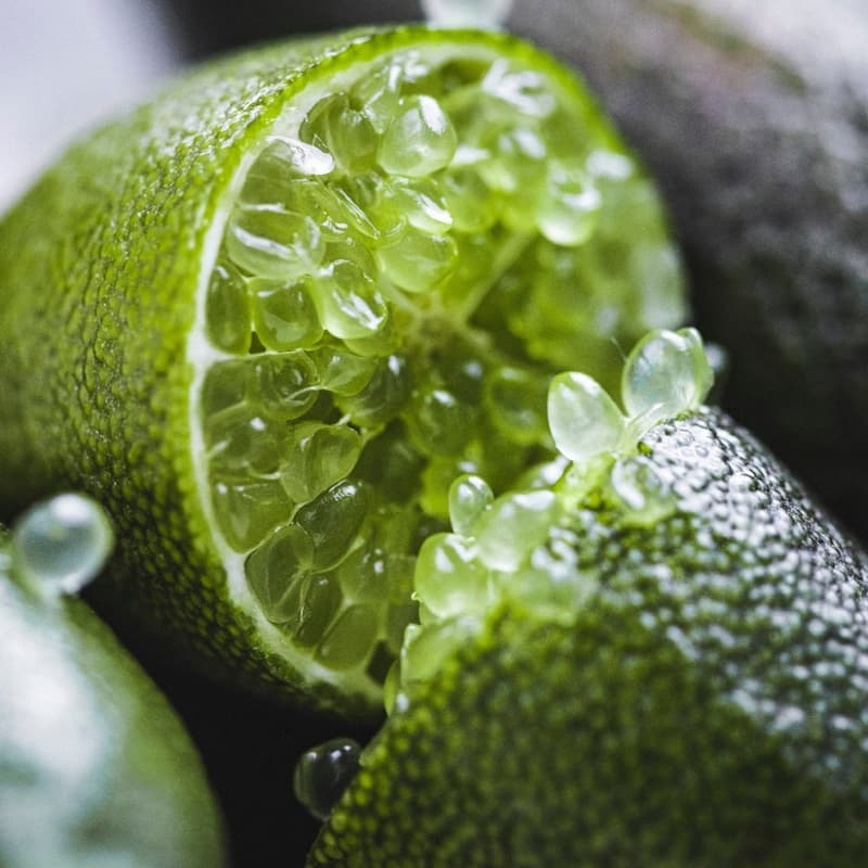 لیمو ترش انگشتی؛ درمان زخم حاوی آنتی اکسیدان محصول Australia