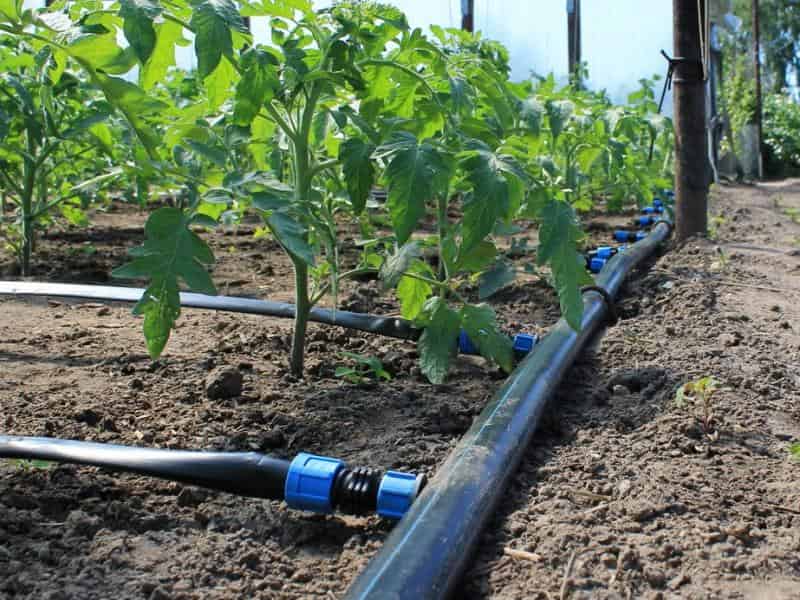 لوله آبیاری دریپر دار؛ فشار ثابت متغیر جنس پلی اتیلن Pipe