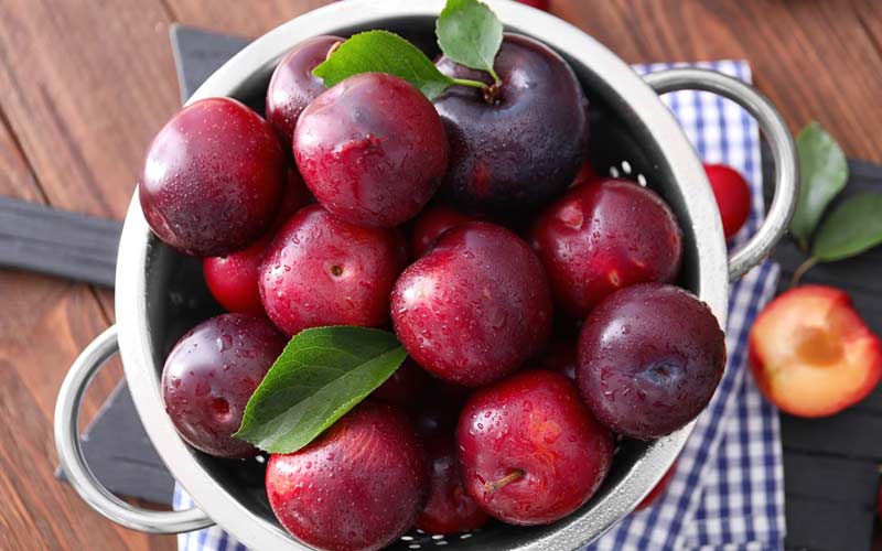 آلو شابلون بزرگ؛ درشت رنگ (قرمز سیاه) حاوی فیبر مناسب کاهش وزن