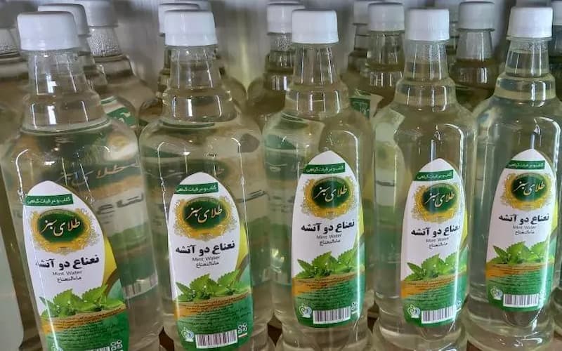 گلاب طلای سبز؛ درمان تشنج برنشیت (گرم) شفافیت پوست