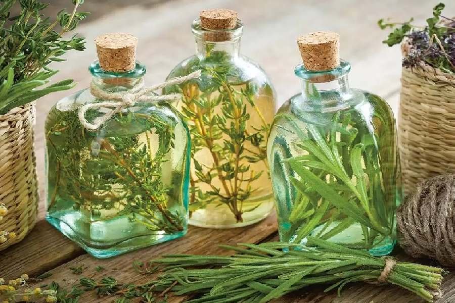 عرقیات گیاهی خنک؛ سرد کردن بدن 3 نوع کاسنی شاتره خارشتر