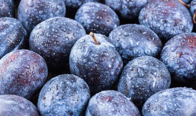 آلو سیاه کوچک؛ آبدار پوست ضخیم رفع آنفولانزا حاوی Phenol