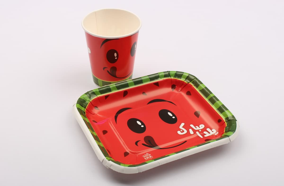 ظروف یکبار مصرف یلدایی؛ تم کارتونی کاغذی پلاستیکی 40 عددی