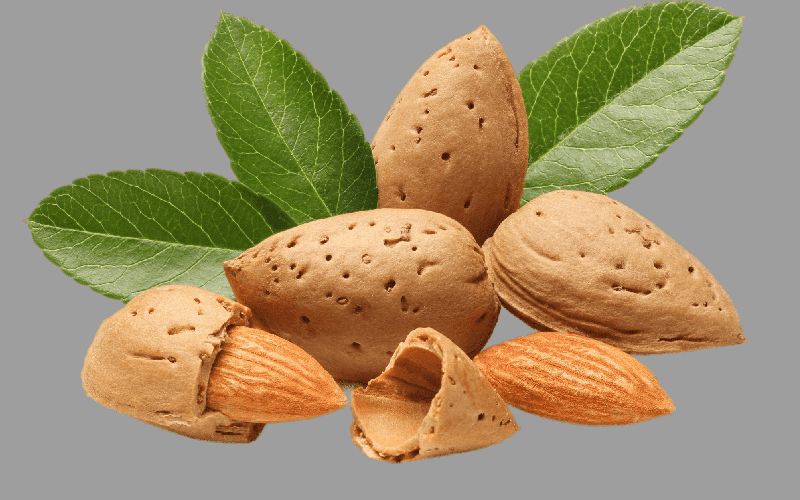 بادام سنگی تویسرکان (منقا) خام بو داده مناسب شیرینی تقویت پوست