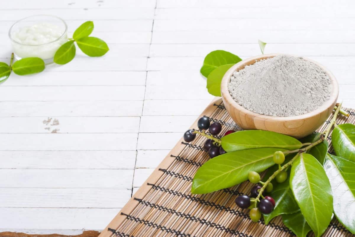 بنتونیت کرمان؛ جذب آب چسبندگی بالا حاوی ساپونیت اسمکتیت