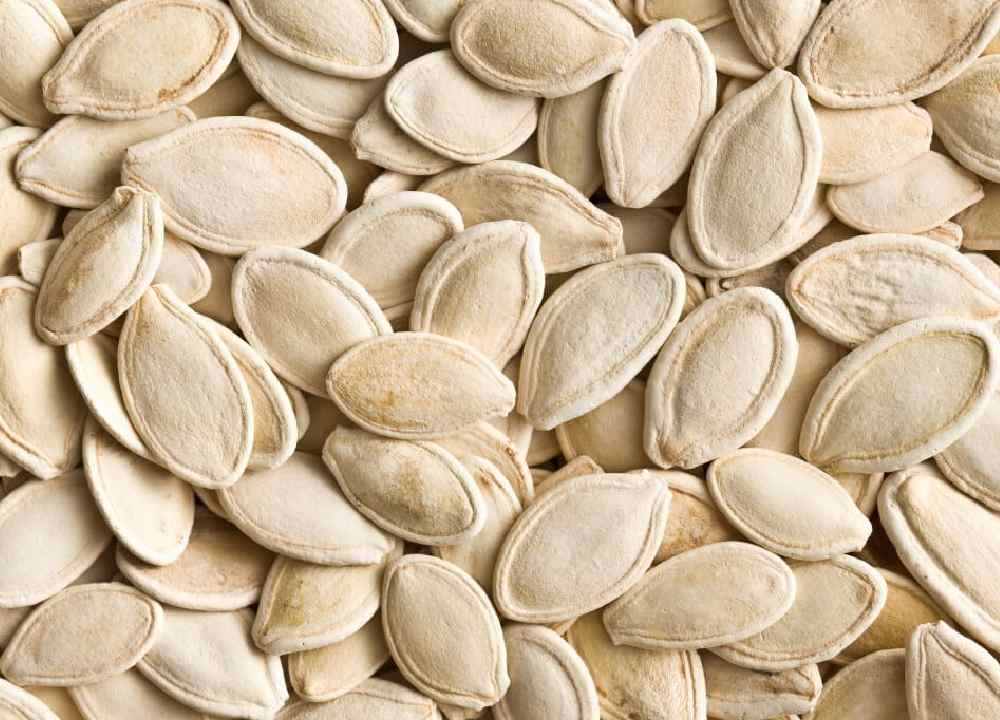 تخمه کدو در اصفهان؛ مغز پر انرژی زا رفع کم خونی Vitamin E