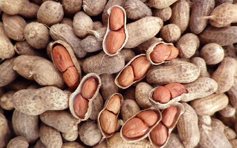 بادام هندی قرمز (آجیل) ساده دوآتیشه درمان دیابت حاوی Protein