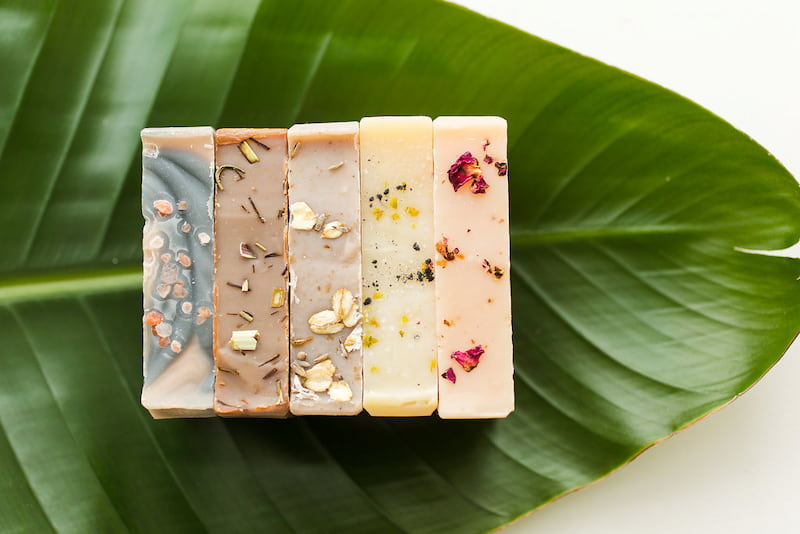 صابون چوبک؛ گیاهی سنتی ضد شوره حاوی آنتی اکسیدان