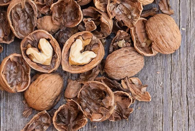 مغز گردو سوزنی (خشکبار) پوست سخت ضخیم چربی بالا 100 200 گرمی