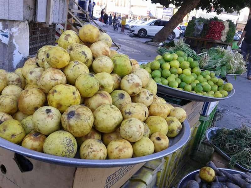 گواوا هرمزگان؛ پوست سبز طعم شیرین حاوی ویتامین (A C)