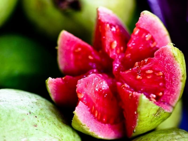 گواوا سبز؛ طعم شیرین پوست سبز 2 کاربرد آرایشی بهداشتی Guava