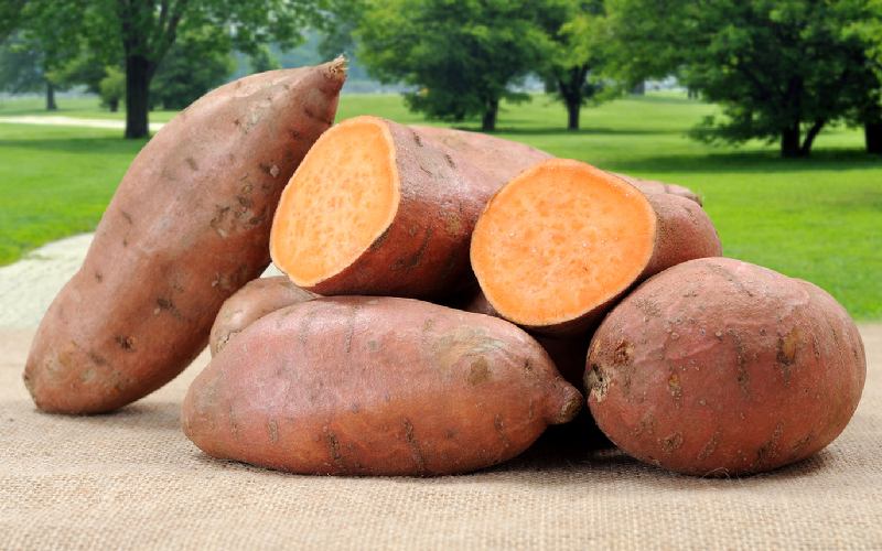 سیب زمینی شیرین قرمز؛ مقوی حاوی فیبر پروتئین کردوهیدرات Vitamin ABC