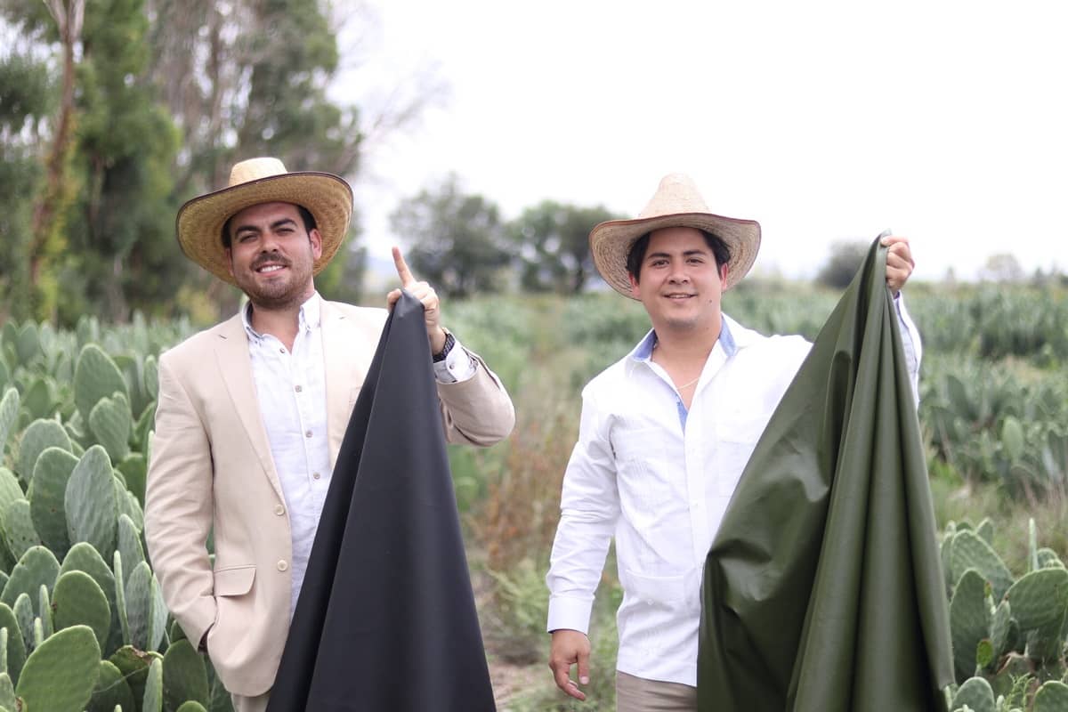 چرم کاکتوس گرگان؛ کیف کفش گیاهی طبیعی با دوام