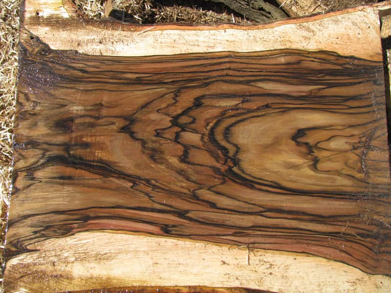 چوب گردو اصفهان؛ قهوه ای سفید ارغوانی مناسب ساخت مبلمان Isfahan