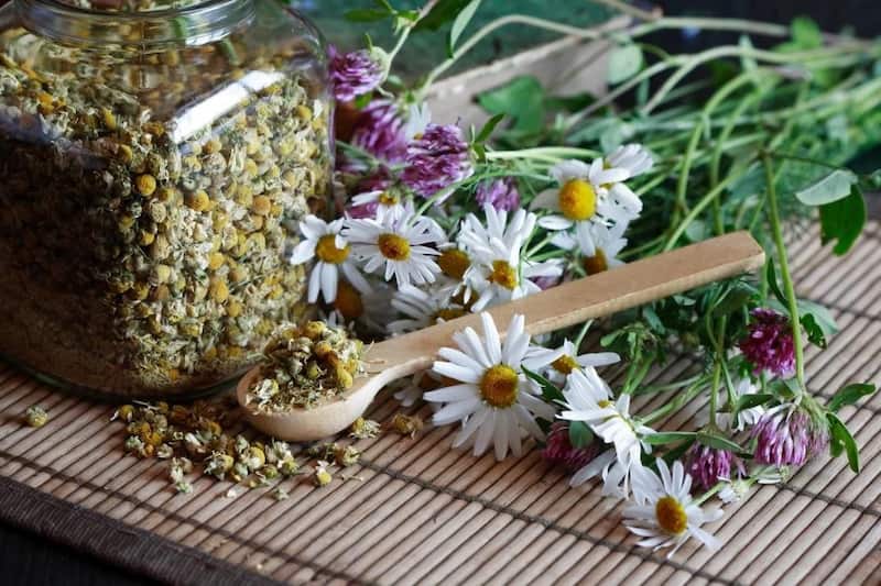 گیاهان دارویی خوزستان؛ خشک حاوی کلسیم فیبر Vitamin C