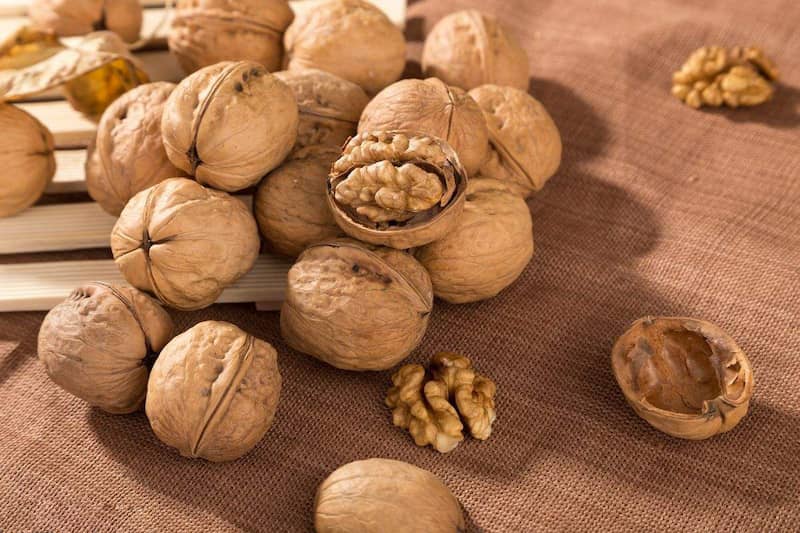 گردو پکان امریکایی؛ ارگانیک ضد سرطان حاوی آنتی اکسیدان American